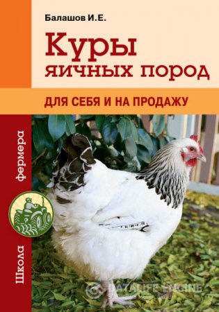 Обложка к Иван Балашов. Куры яичных пород. Для себя и на продажу (2015) RTF,FB2,EPUB,MOBI