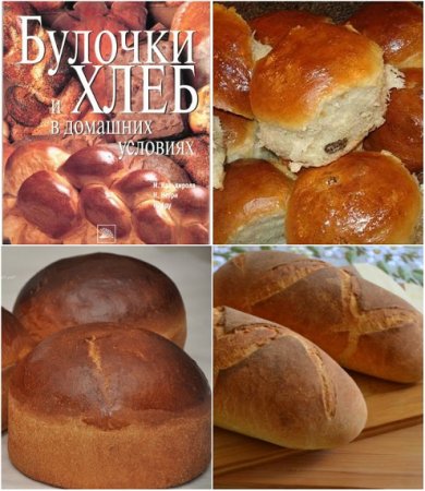 Обложка к Булочки и хлеб в домашних условиях