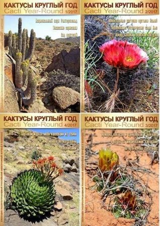 Обложка к Подшивка журналов Кактусы круглый год. 2017