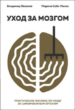 Обложка к Как правильно ухаживать за мозгом