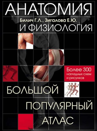 Обложка к Анатомия и физиология. Большой популярный атлас