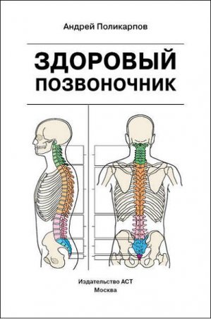Обложка к Здоровый позвоночник