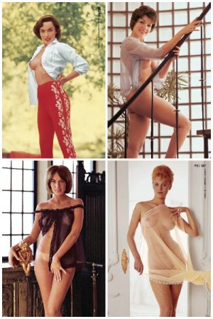 Обложка к Playboy Centerfolds Ultra High Quality The Full (1953-1965)