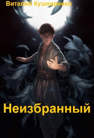 Обложка к Виталий Кушниренко. Цикл - Неизбранный