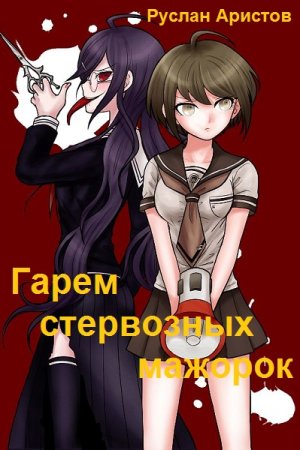 Обложка к Руслан Аристов. Цикл (7 книг) - Гарем стервозных мажорок