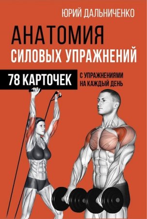 Обложка к Анатомия силовых упражнений. 48 карточек с упражнениями на каждый день