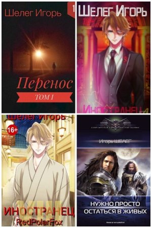 Обложка к Игорь Шелег. Сборник 14 книг
