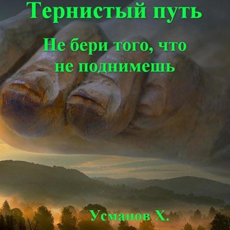 Аудиокнига - Тернистый путь. Не бери того, что не поднимешь (2023) Усманов Хайдарали