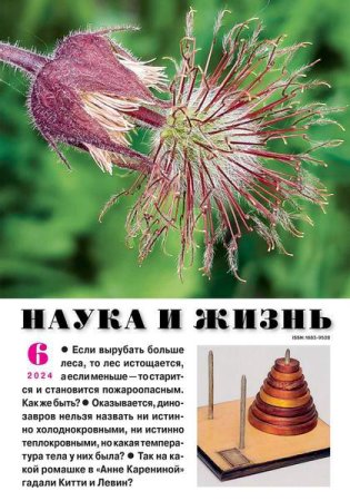Обложка к Наука и жизнь №6 (июнь 2024)